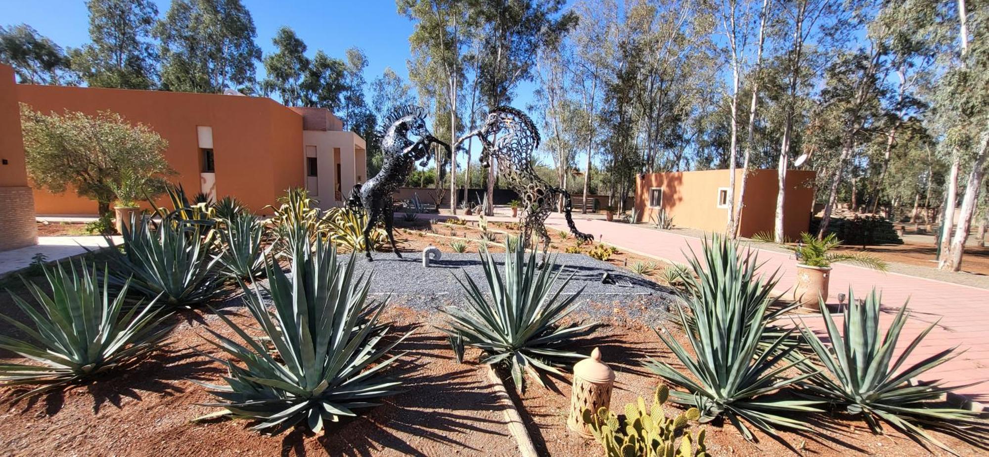 הוילה מרקש Le Jardin De Jeanne מראה חיצוני תמונה