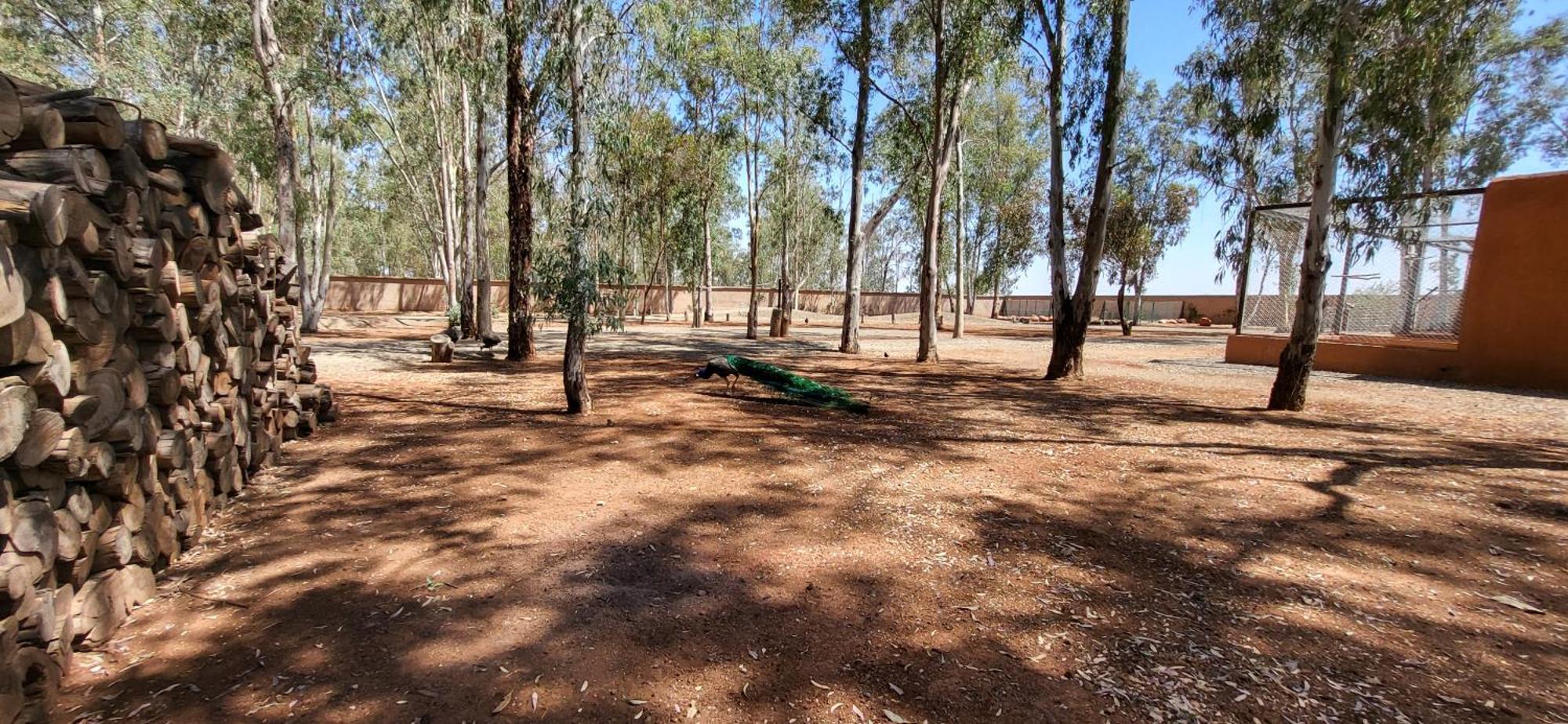 הוילה מרקש Le Jardin De Jeanne מראה חיצוני תמונה